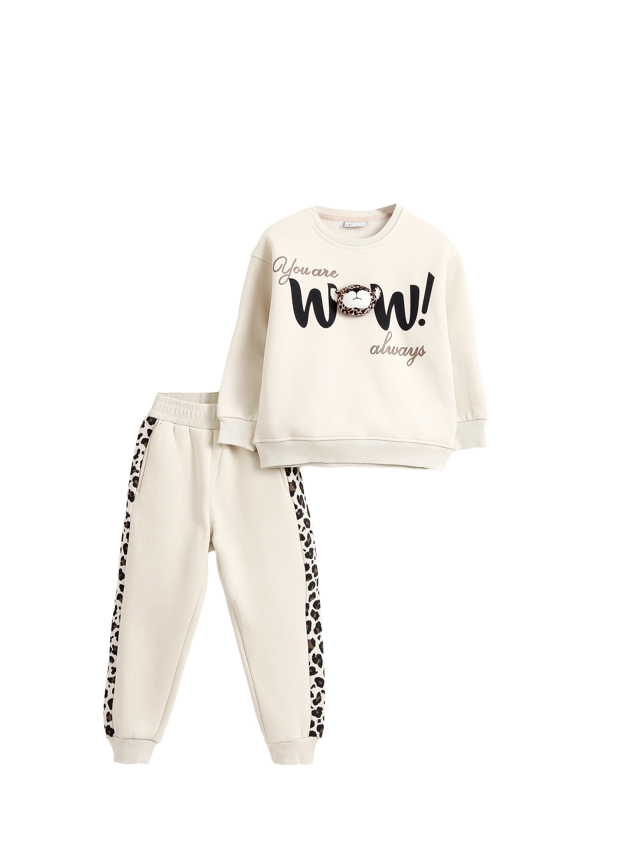 Zweiteiliges Set (Sweatshirt & Jogger)