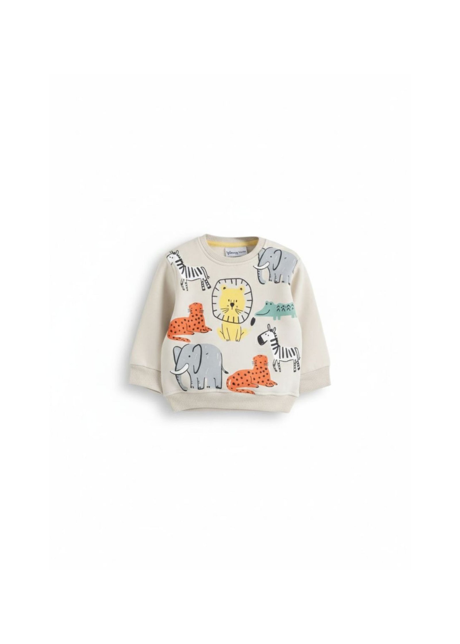 Baby Zweiteiler (Sweatshirt & Jogger)