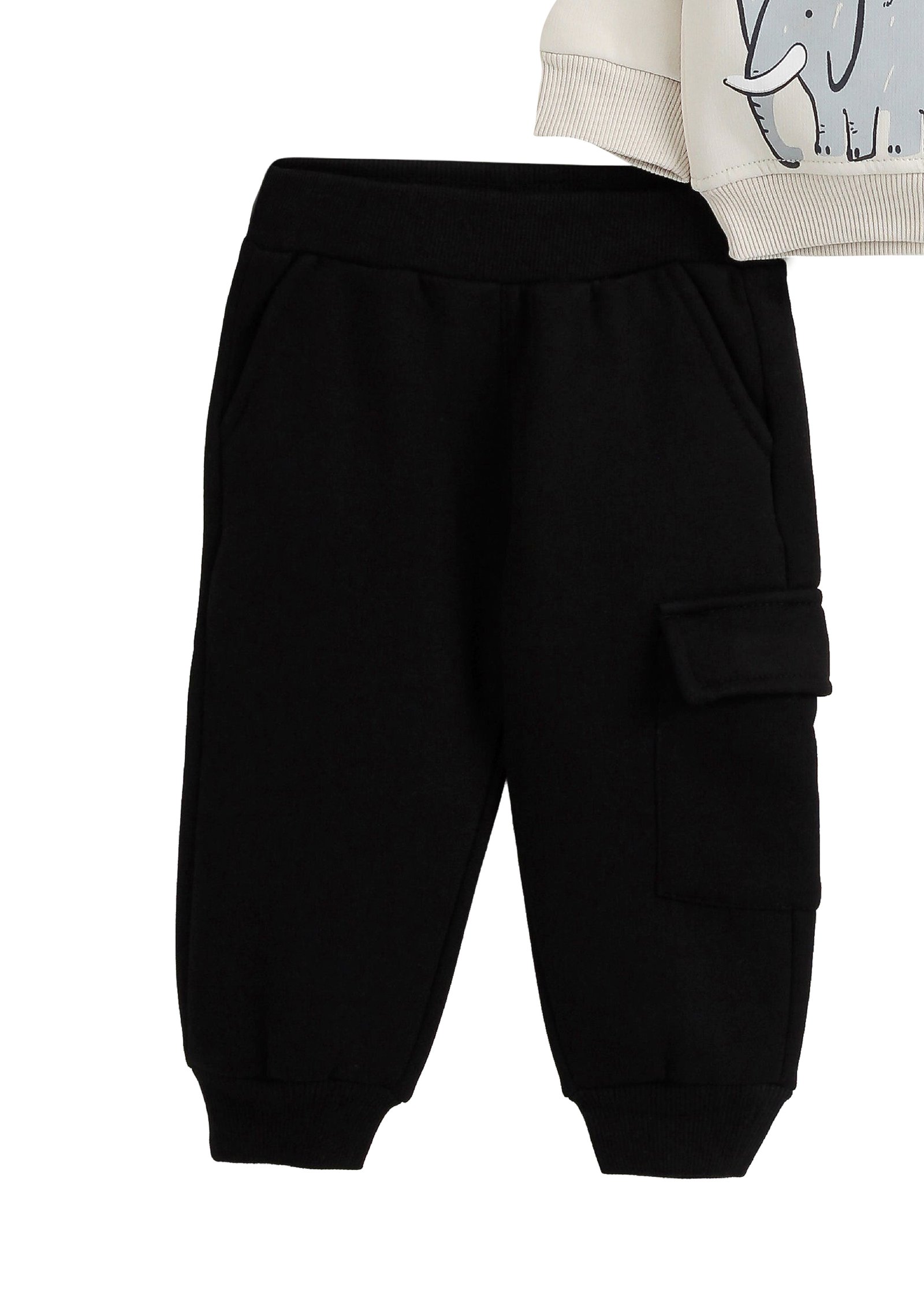 Baby Zweiteiler (Sweatshirt & Jogger)
