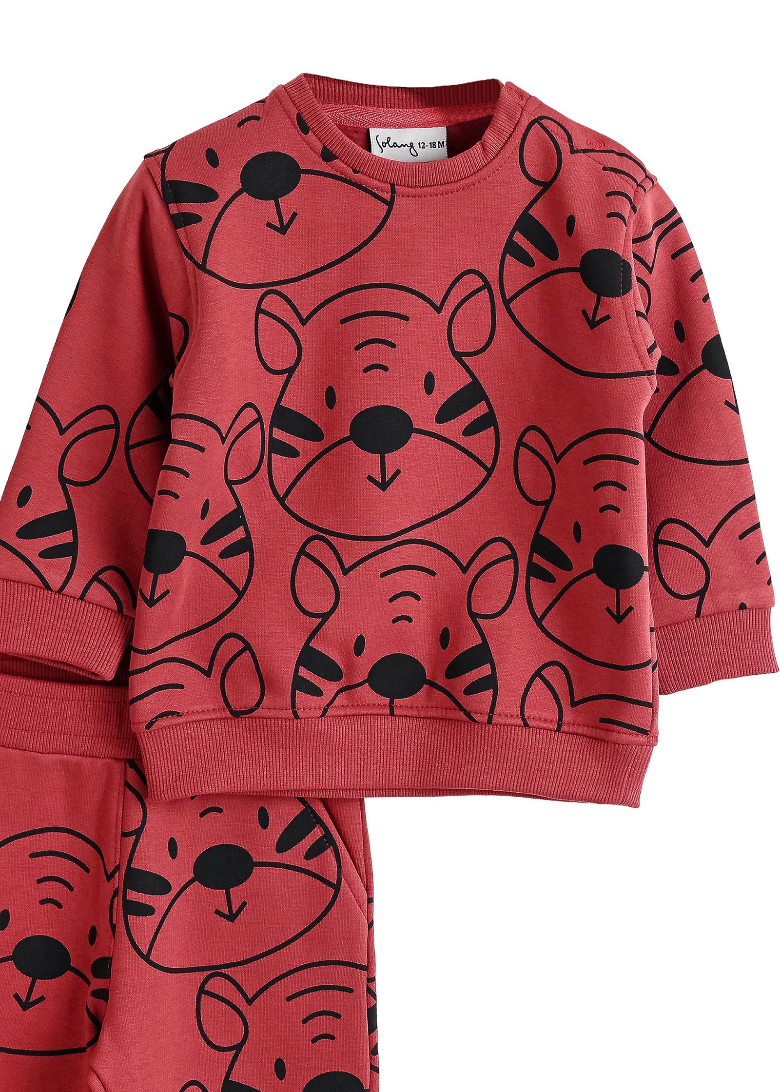 Baby Zweiteiler (Sweatshirt & Jogger)