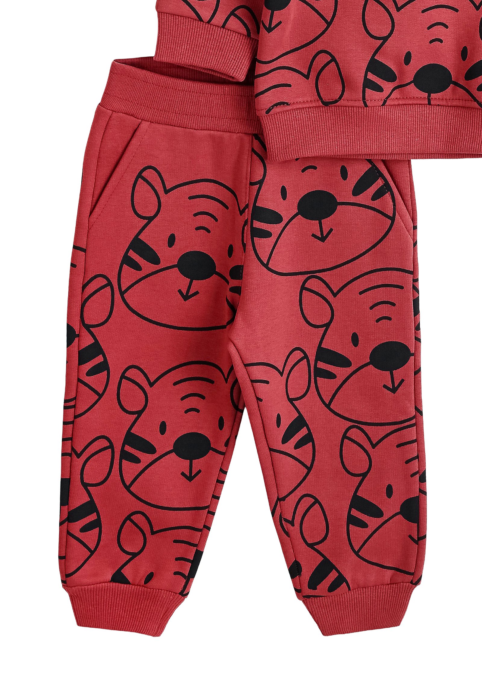 Baby Zweiteiler (Sweatshirt & Jogger)