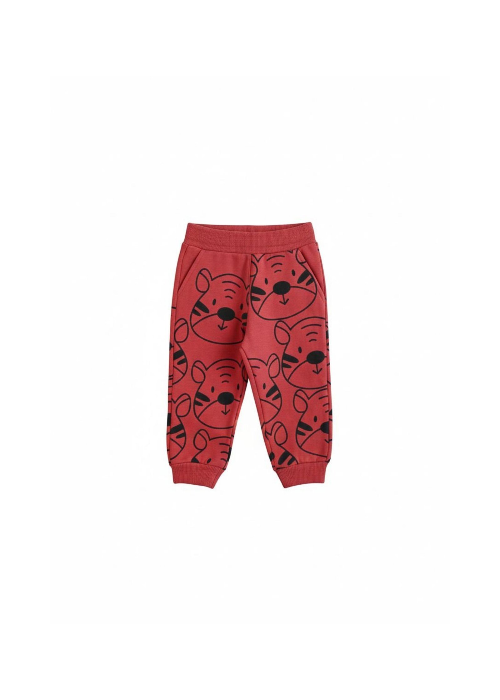 Baby Zweiteiler (Sweatshirt & Jogger)