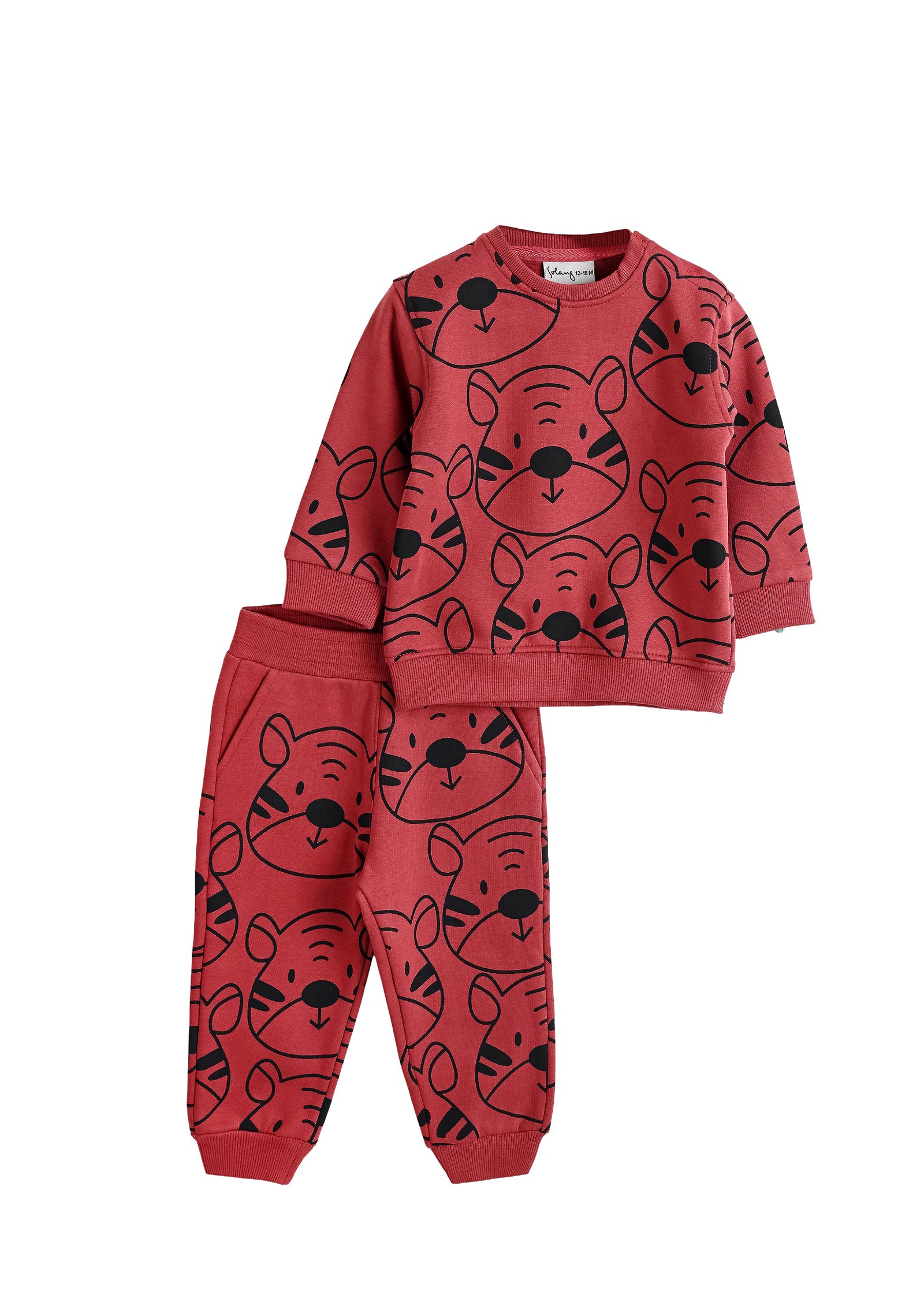 Baby Zweiteiler (Sweatshirt & Jogger)